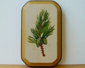 Pine Tree Painting - Original Miniature Scotch Pine Branch Woodland Art