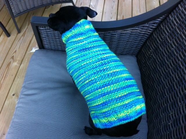 Blue Variegated Dog Sweater Hand Knitted
