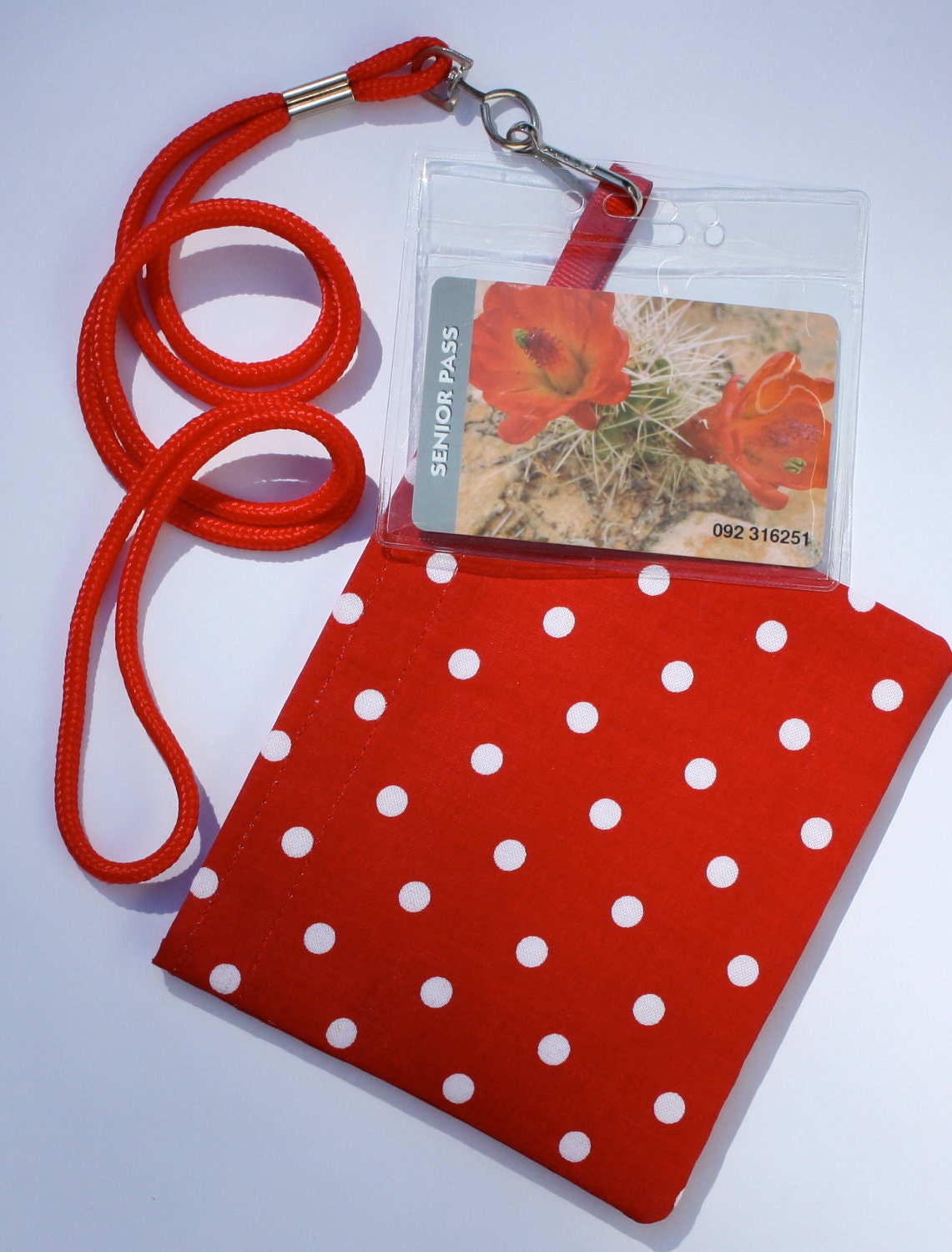 Lanyard Pouch Pass Set Disney ThemePark Cruise