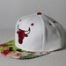 Custom Chicago Bulls Snapback -- Tropical Fabric -- Lime Green