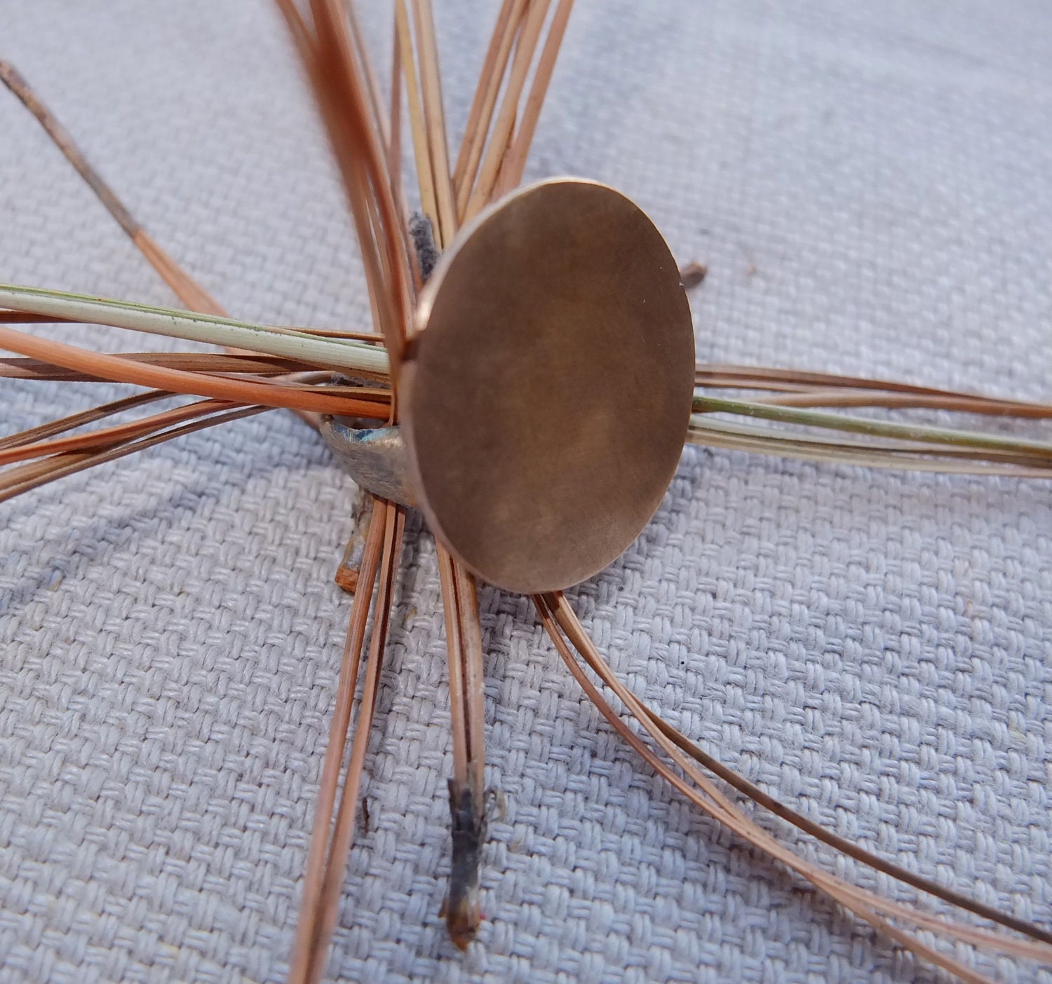 Bronze Circle Ring