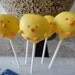Cake Pop Chicks