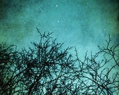 Dreamy tree photo - magical night sky, starlight starry sky, stars, surreal whimsical wall art, aquamarine blue turquoise teal green