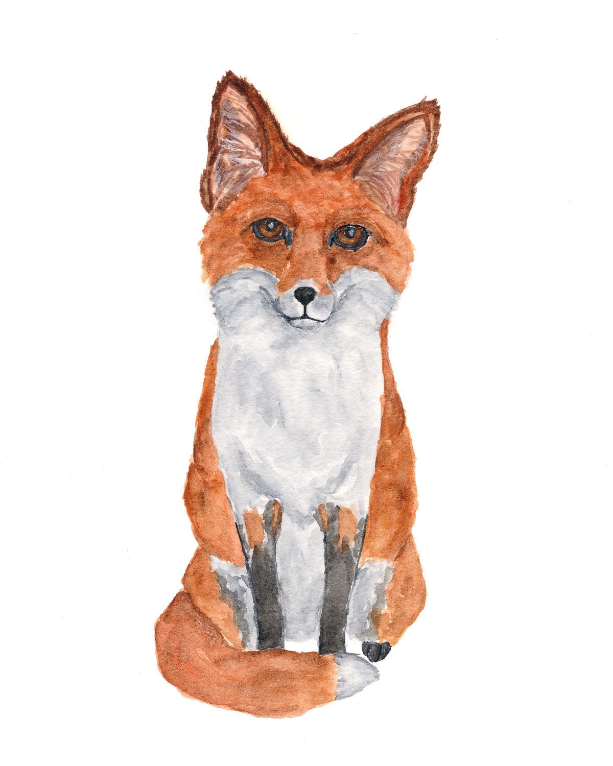 Red fox art, watercolor fox painting, woodland animal illustration - 8X10 print - ThimbleSparrow