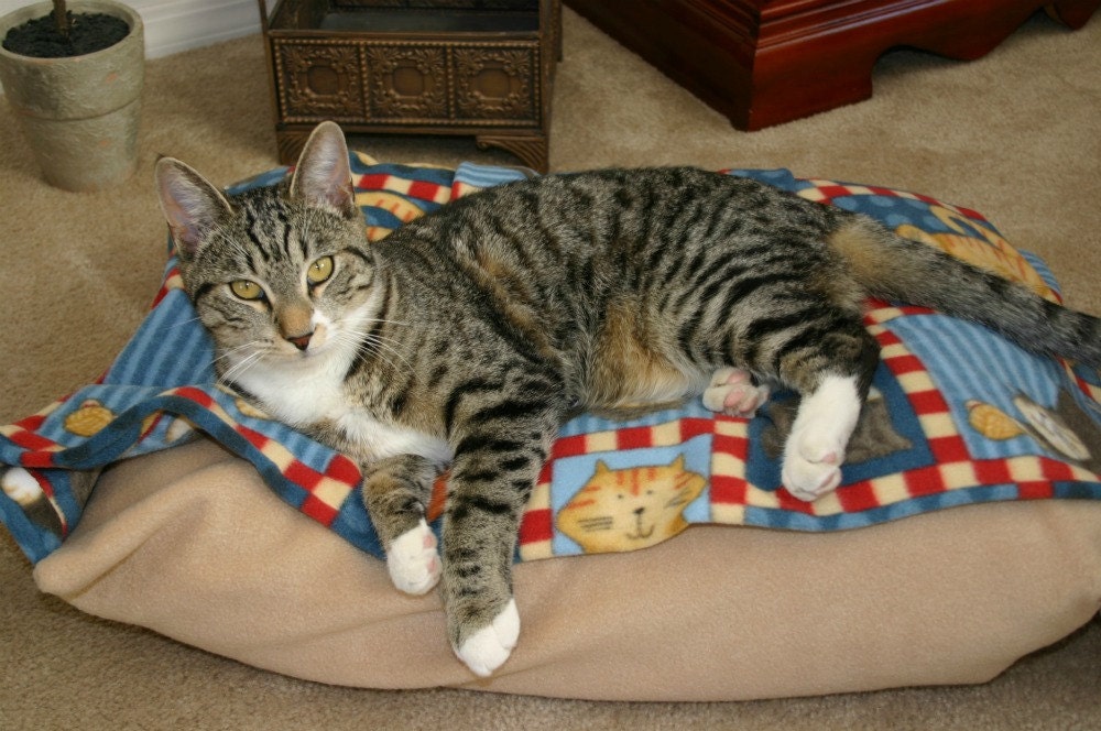 Cat Bed - Kitty Pet Bed Cover - Machine Washable - FREE Shipping Cozy Fleece Burrow Snuggle Bella Pet Beds Cover - bellapetbeds