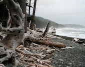 Beach, Rialto Beach, Olympic National Park, WA