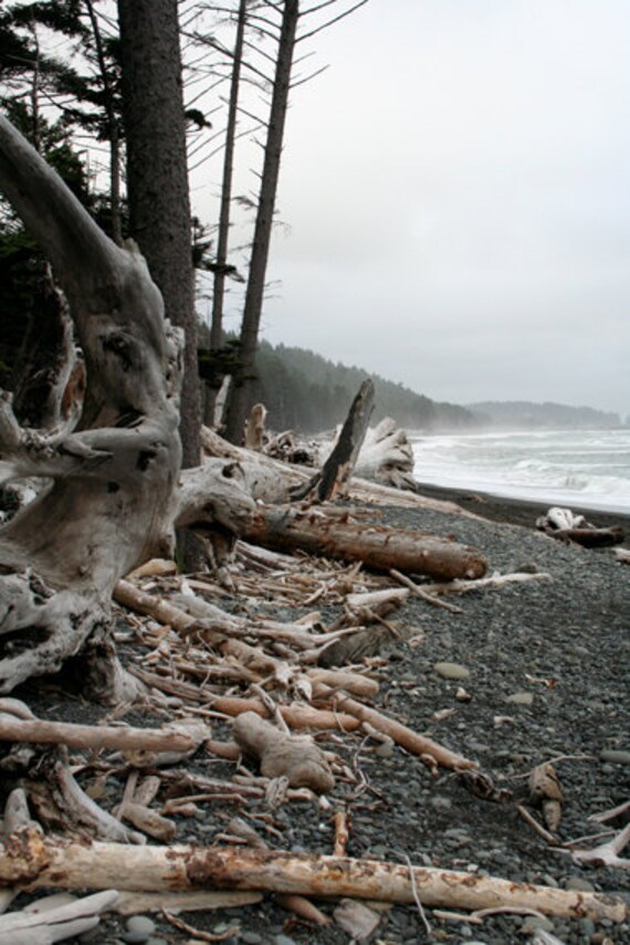 Beach, Rialto Beach, Olympic National Park, WA