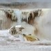 Hot Springs, Springs, Mammoth Hot Springs 1, Yellowstone National Park