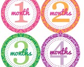 Monthly Onesie Stickers for New Mom and Baby Girl...Bright Damask...Favorite Baby Shower Gift