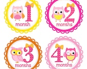 ON SALE - Baby Girl Onesie Stickers...Owls in Pink and Orange...For New Mom Baby Girl...Monthly Photo Prop