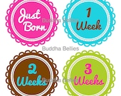 Newborn Set of Onesie Stickers...Includes a Just Born Sticker plus Week 1, Week 2 and Week 3 Stickers... Baby Shower Gift for New Moms