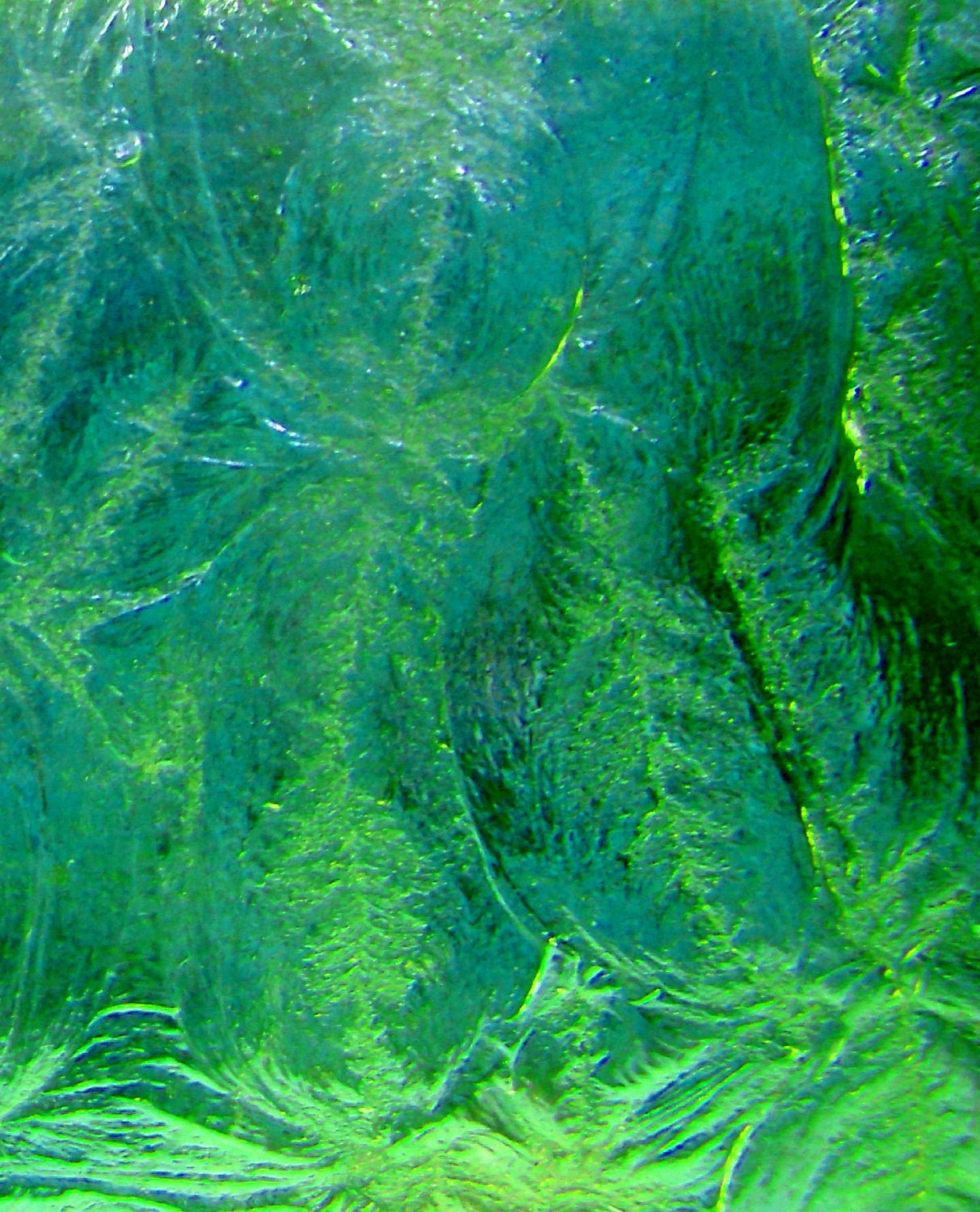 Glass Door Pane Fine Art Photo 5 x 7 Closeup Texture Green Etched