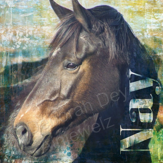 Mounted Digital Collage Horse Print "NAY"  10in x 10in