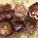 Purple Flower Magnets / Favors- Wedding, Christening & Other Special Occassions