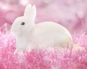 Bunny Rabbit Easter Art Print - Spring Pink White Pastel Nursery Girls Room Home Decor Photography