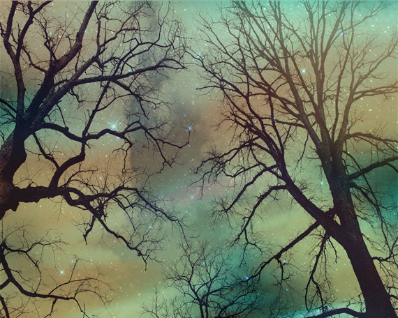 Tree Silhouette Sky Stars Art Print - Peach Aqua Nursery Night Whimsical Haunting Winter Home Decor Wal Art Photograph