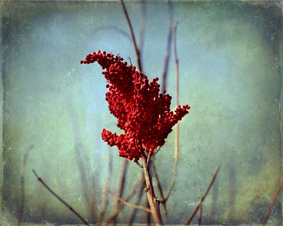 Tree Red Flower Bud Print - Aqua Blue Green Red Floral Home Decor Wall Photography