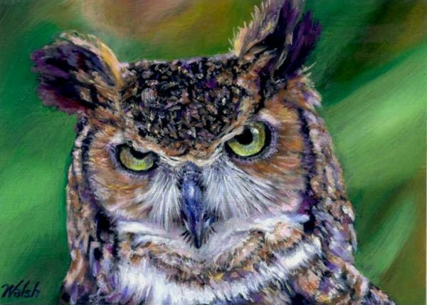owl oil paintings