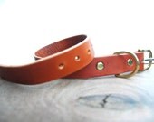 Handmade leather dog collar in Saddle tan