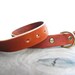 Handmade leather dog collar in Saddle tan