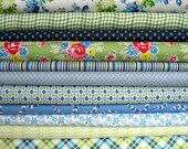 18 FQ Complete Set of Sugar Creek by Denyse Schmidt