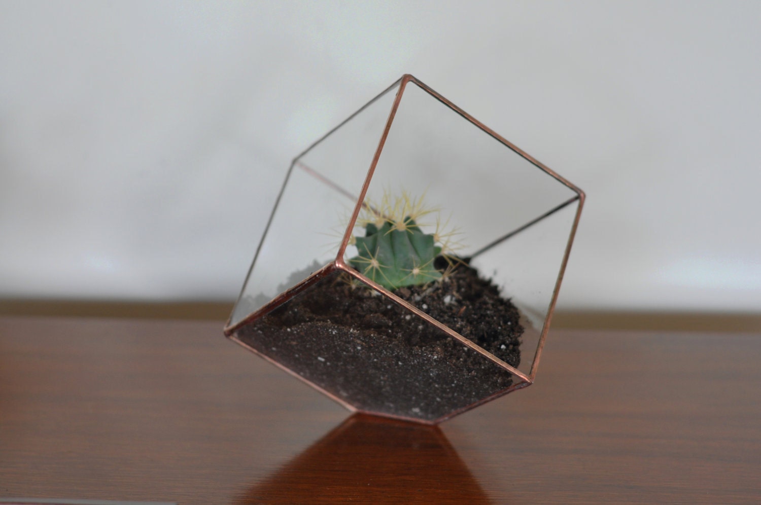 Earth Terrarium Kit, medium cube glass planter in copper or silver color -- stained glass -- terrarium supplies -- eco friendly