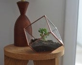 Earth Terrarium Kit, small cube glass planter in copper or silver color -- stained glass -- terrarium supplies -- eco friendly