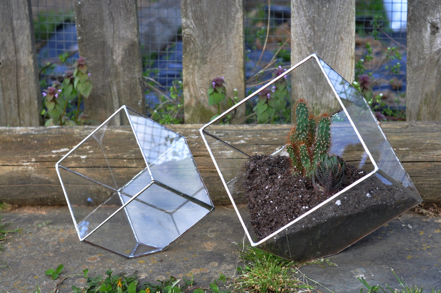 Earth Terrarium Kit, medium cube glass planter in copper or silver color -- stained glass -- terrarium supplies -- eco friendly