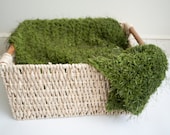 Photography Prop Blanket - Faux Grass Moss Green