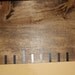 Ruler Growth Chart