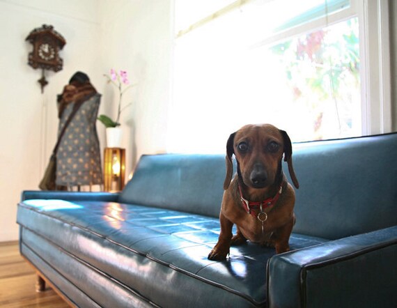 2 Matching Electric Blue Sofa / Couch es Perfect Condition. 