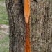 Canarywood, Purpleheart and Bamboo bow with Mahogany burl handle, 40lb at 25", wood archery bow, comes with arrows