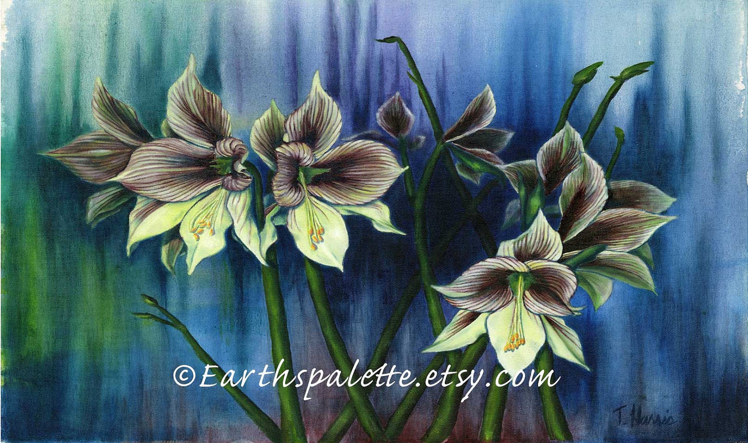 Original oil painting, Amaryllis flower painting 8x10 print, floral still life abstract art  earthspalette