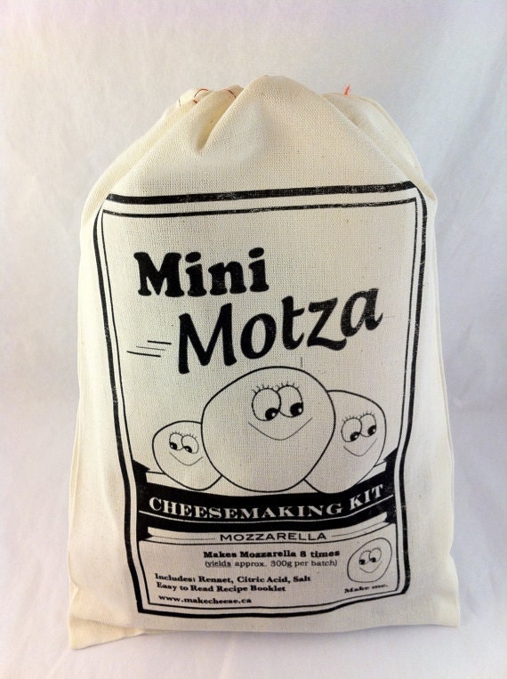 Mini Motsa Kit -Makes mozzarella 8 times