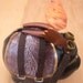 Steampunk Style Flying Pig with Copper Wings and Brass Goggles Piggy Bank