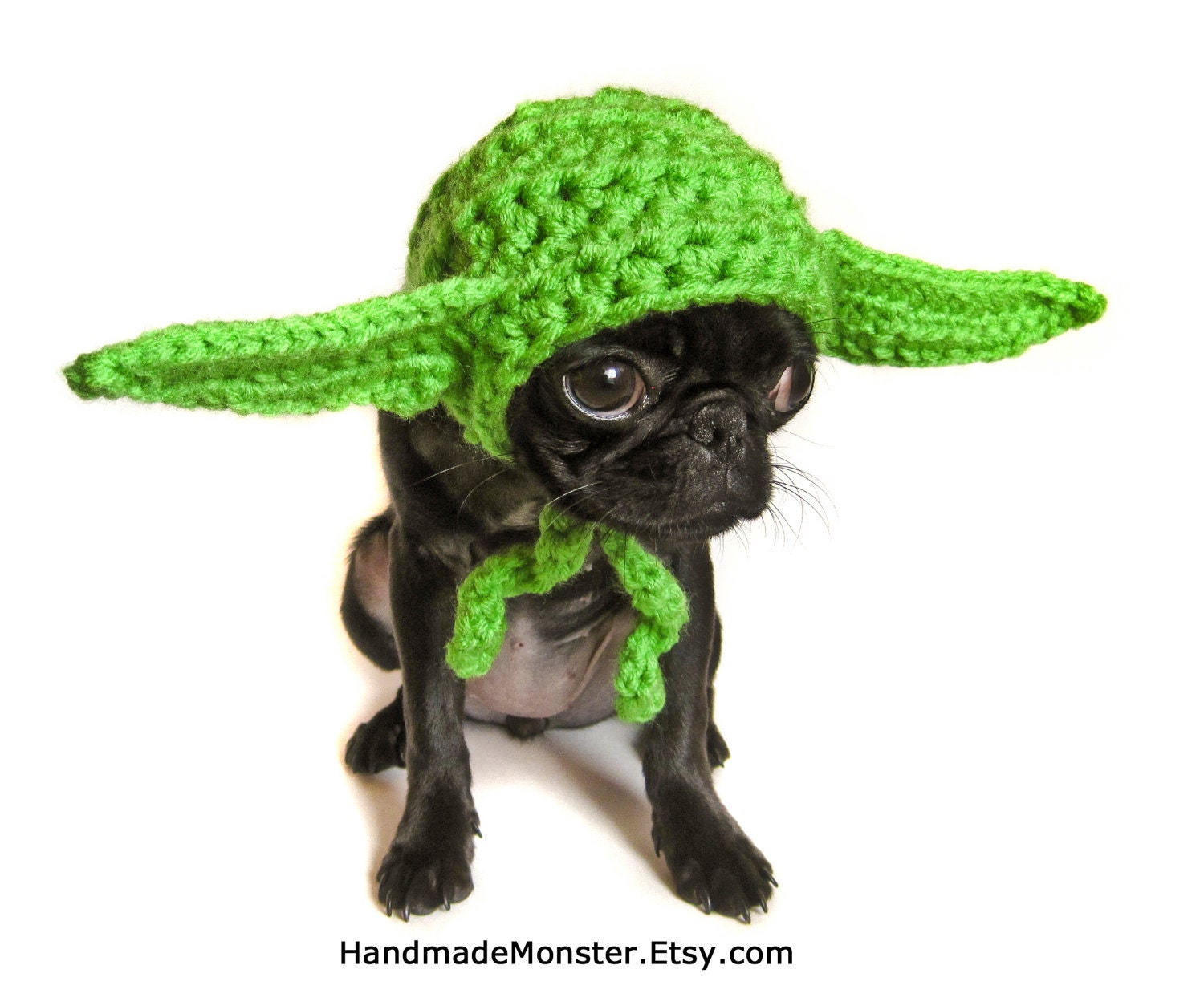 STAR WARS DOG hat costume yoda inspired pet geekery nerdy costumes jedi photo photography prop mashable