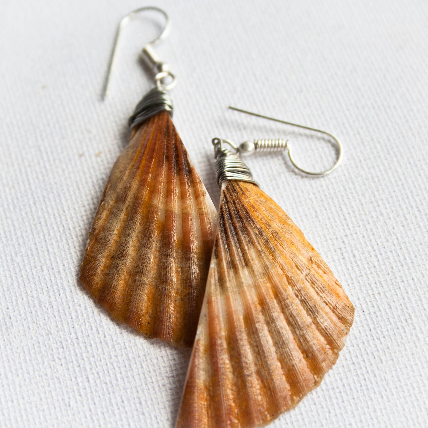 Scallop shell earrings