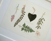 Botanical Nature Collection "Meadow" with Green Leaves, Fern and Shell Pink Flowers Print FIne 8 X 10 Art Print