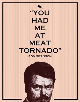 Ron Swanson- 8x10- parks and recreation, meat tornado, funny, humor, geek, retro