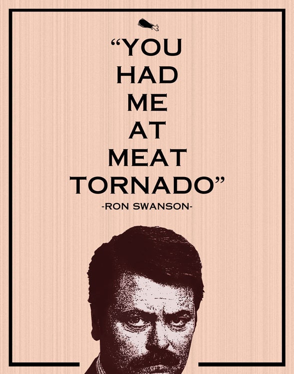 Ron Swanson- 8x10- parks and recreation, meat tornado, funny, humor, geek, retro
