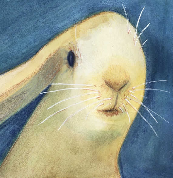 Just Because Rabbit Art  Print by Lisa Firke - Bestseller - Limited Edition - Great Gift