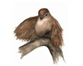Bird Print from Original Watercolor Painting