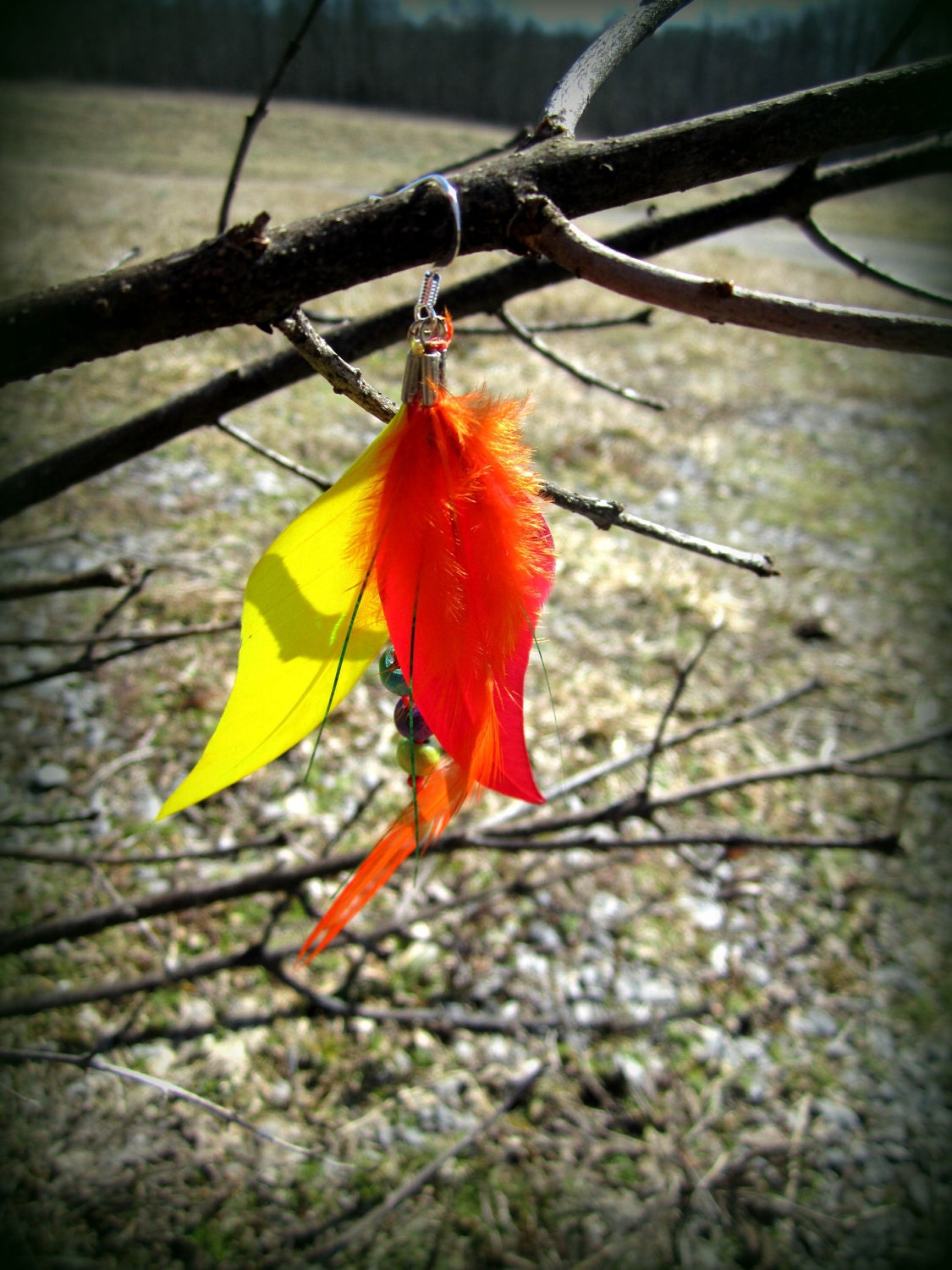 Let me take you to Rio earrings