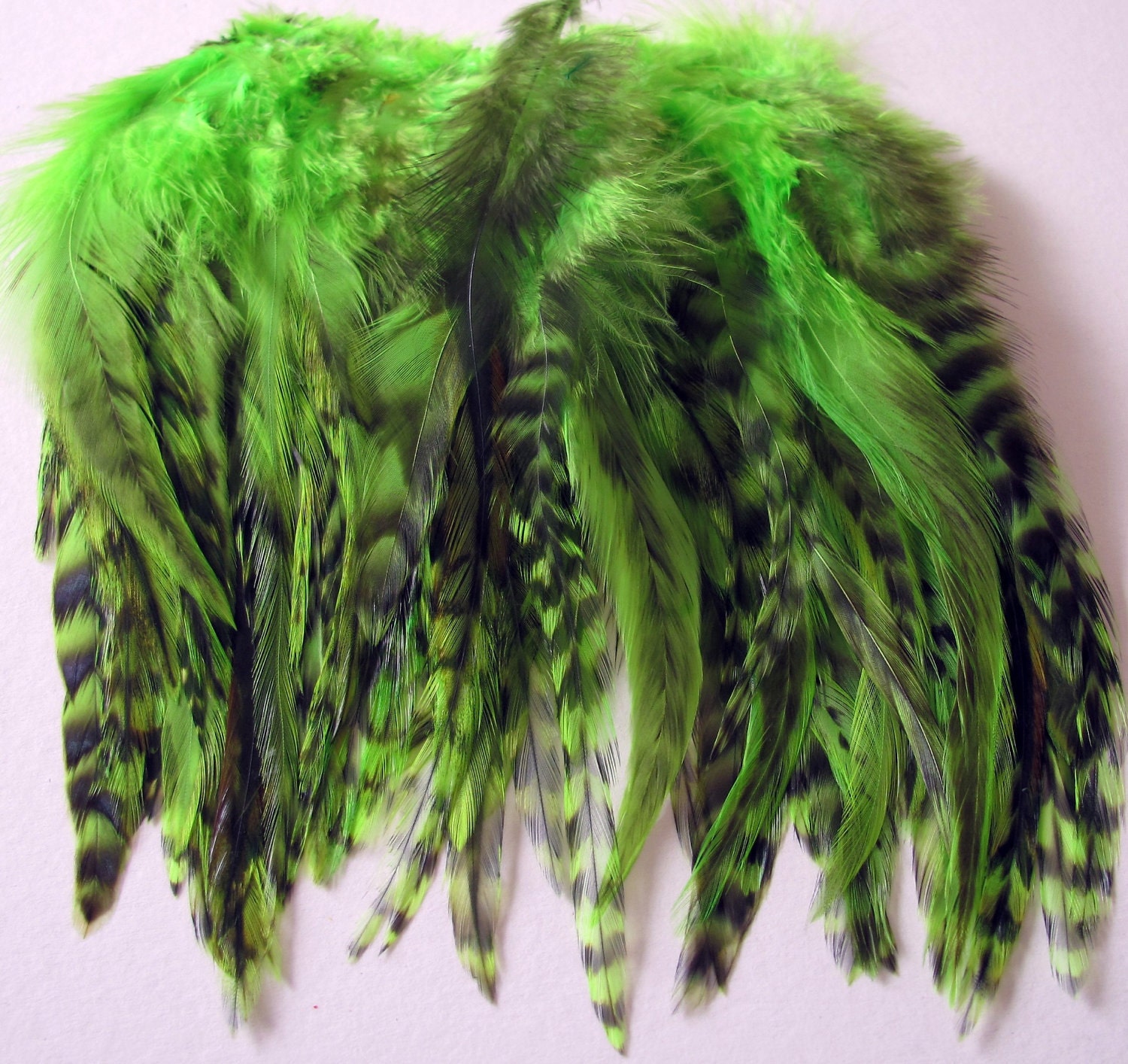 Grizzly Saddle Hackle