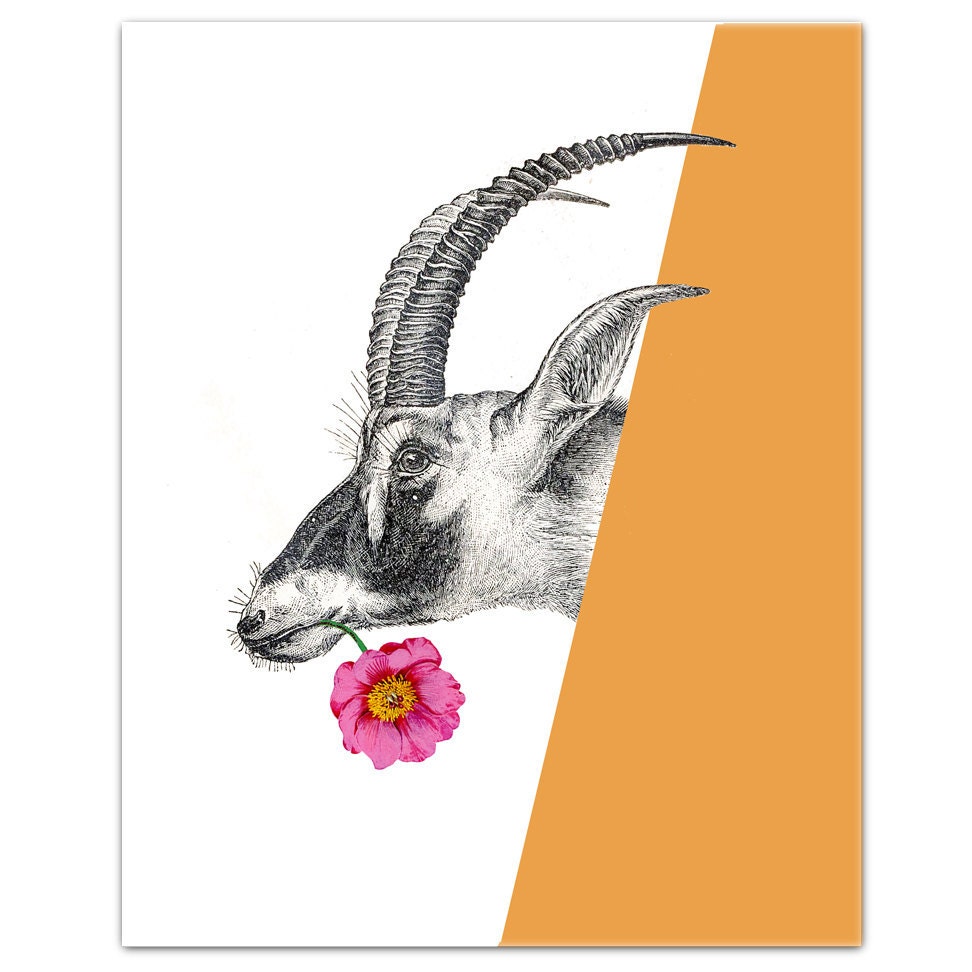 Blue Antelope Portrait with Flower - ART Print 8 x 10"
