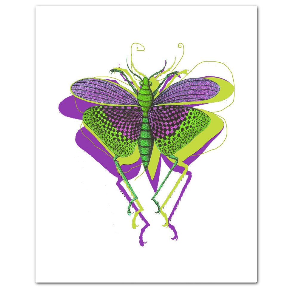 Beautiful Butterfly - ART Print 8" x 10"