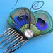 JOELLE Peacock Hair Comb, Feather Fascinator