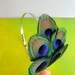 MEGS Peacock Feather Headband, Hair Fascinator