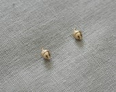 Make a wish gold plated tiny lucky acorn earrings