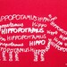 Nursery Art Hippo Screen Print Word Art White on Red Stretched on Canvas